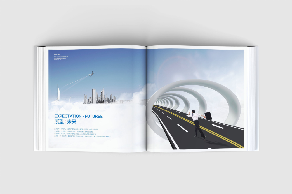 穆棱市画册设计